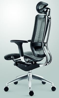 Reclining Ergonomic Home Office Chairs Mesh Bottom